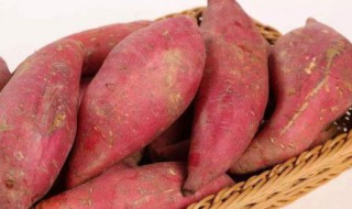 夏季红薯家庭保存方法 冬季红薯的家庭保存方法