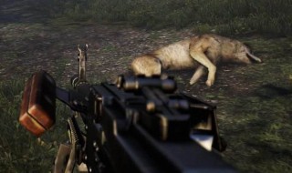 孤岛惊魂4怎么拉好友（孤岛惊魂4怎么拉好友一起玩）