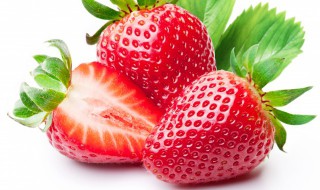 家庭阳台草莓种植方法下雨怎么办（草莓怎么种植方法 在家阳台）