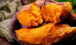 红薯发芽能种红薯吗 红薯种地里能发芽吗