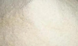 常见的酶制剂的保存方法有哪些（酶制剂的保存条件）