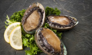 鲍鱼清洗完怎么保存 鲍鱼洗好后怎么保鲜