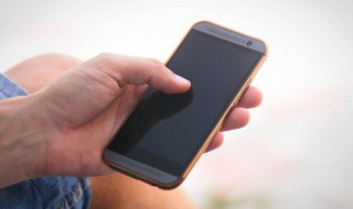 如何保存皮筋（牛皮筋怎么保存）