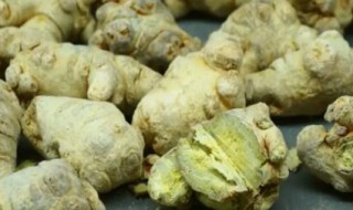 新鲜三七能冷冻保存吗（新鲜三七如何保鲜存放）