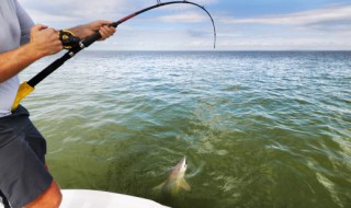 钓鱼红虫如何保存好（钓饵红虫怎么保存）