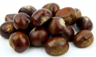 生板栗怎么保存家庭方法 生板栗要怎样保存