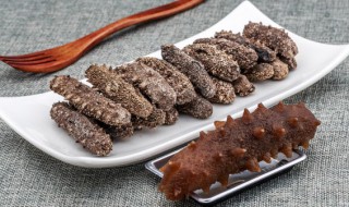 新鲜海参怎么保存方法(海参保存方法干海参怎么保存)