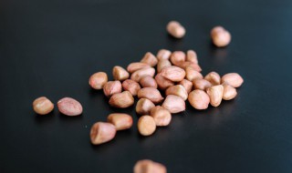 花生米放入冰箱里冷冻保存合适吗（花生米放入冰箱里冷冻保存合适吗还能吃吗）