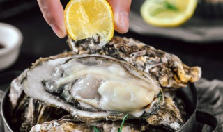 生蚝肉冷冻可以保存多久（冷冻生蚝肉能保存多久）