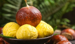 鲜栗子能放冰箱冷冻保存吗（新鲜栗子可以放冰箱冷冻保存吗）