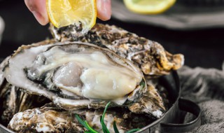 生蚝可以放冰箱冷冻保存吗(生蚝能放冰箱冷冻保存吗)