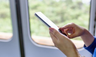 lol关于萨勒芬妮id（Lol萨勒芬妮）