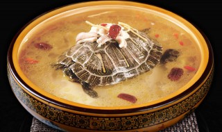 煲甲鱼汤放什么材料（甲鱼煲汤要什么配料）