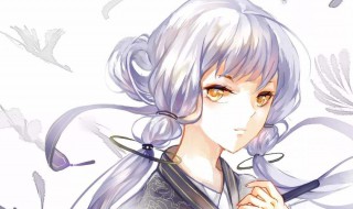 家族名称古风（家族名字古风）