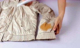 羽绒服上的顽固油渍怎么去除（羽绒服上顽固油渍怎么去掉）