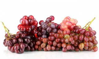 葡萄种植方法有哪些 葡萄栽培种植方法