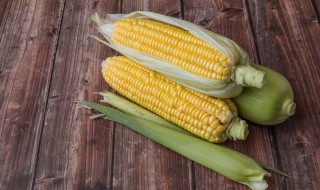 大量新鲜玉米棒怎样保存 怎么保存新鲜玉米棒