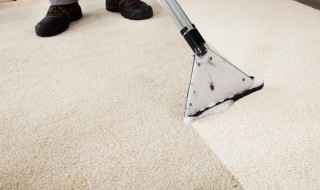 清洗地毯有哪些妙招 清洗地毯小妙招