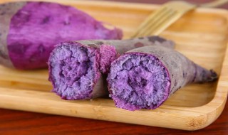 紫薯种植的时间是什么时候（紫薯的栽种时间）