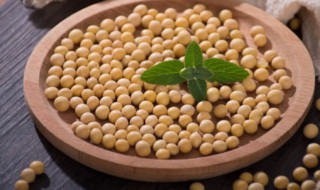 黄豆种植时间 黄豆种植时间和生长期