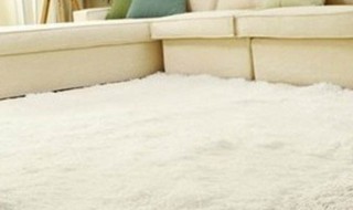 地毯怎么清洗能用洗衣机洗吗 洗地毯怎样洗