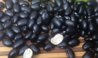 黑豆一般什么时候种植(黑豆种植时间和生长期)