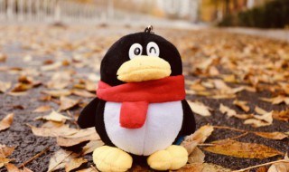 qq网名大全两个字带符号（qq网名两个字带特殊符号）