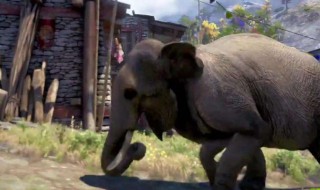 孤岛惊魂4如何骑大象（孤岛惊魂4骑老虎）