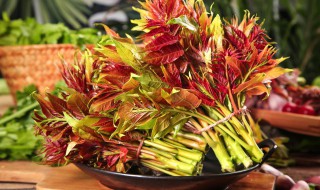 香椿菜怎么吃（香椿菜怎么吃好不好吃）