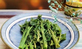 怎么腌制香椿芽（怎么腌制香椿芽存放）