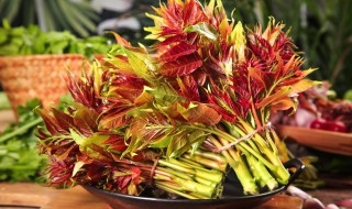 咸香椿怎么做好吃（咸香椿的做法家常菜）