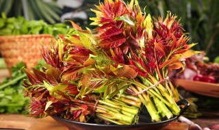 香椿拌豆腐怎么做好吃 香椿拌豆腐怎么做好吃家常凉拌香椿