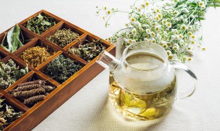 茉莉花茶为什么有叶子不是花(茉莉花是不是茶叶花)