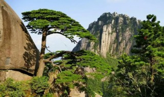 安徽黄山的莲花峰有多高 黄山莲花峰高多少米