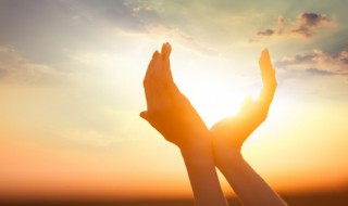 仙客来花能晒太阳吗 仙客来开花的时候可以晒太阳吗