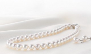 人工珍珠养殖方法 人工饲养珍珠过程