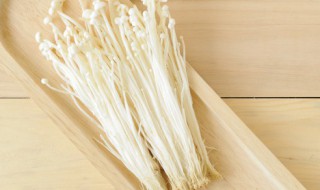 金针菇属于什么类的植物 金针菇属于植物吗?