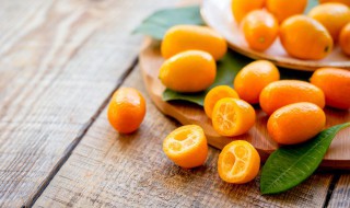 盆栽金桔怎么修剪视频 盆栽金桔剪枝视频教程