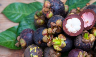 盆栽山竹几年能结果（山竹种植几年开花结果）