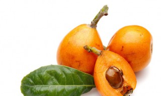 盆栽水果种植方法（水果盆景栽种植方法）