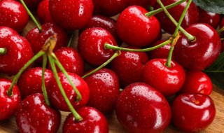 盆栽樱桃冬天在室内还是在 盆栽樱桃树冬天放在室内还是室外