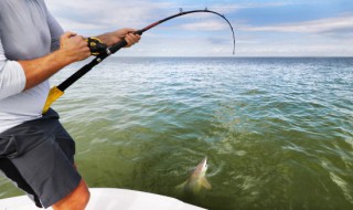 天冷下雨之后能钓鱼吗(天冷雨后好钓鱼吗)