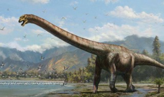 恐龙之乡在中国的什么地方啊 我国恐龙之乡在哪