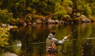 下雨后水浑浊怎么钓鱼（下过雨后水浑浊怎么钓鱼）