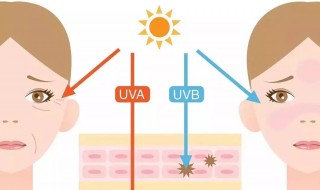 紫外线从何而来如何制作紫外线（利用紫外线）