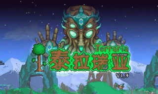 新版泰拉瑞亚攻略（泰拉瑞亚最新版攻略）