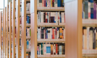 恐龙禽龙艾力达中出现的恐龙(最后出现的恐龙是什么龙)