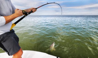 雨水节气可以钓鱼吗（雨水时节好钓鱼吗）