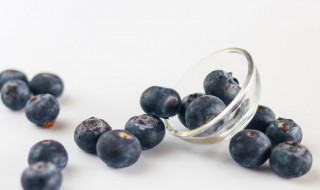 中国的蓝莓之乡在哪里（中国哪有蓝莓）