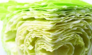 卷心菜怎样保存时间长 卷心菜放冰箱可以保存多久